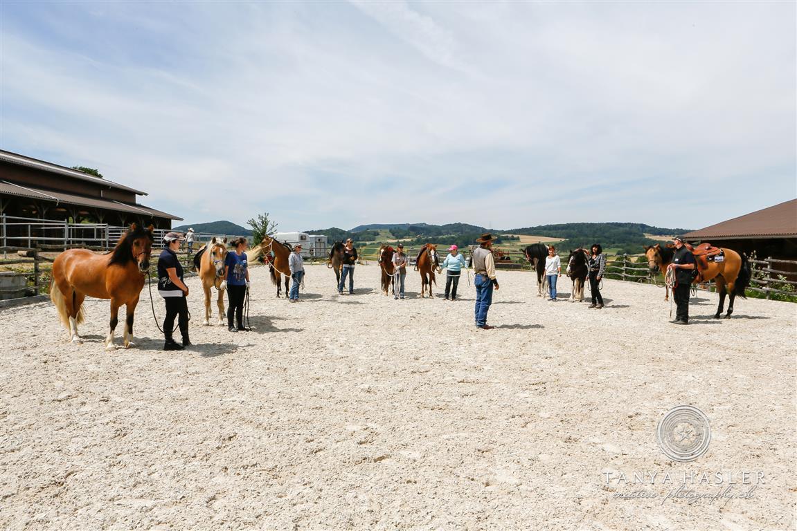 Paul Dietz Clinics Schweiz 2023 Paradise Ranch Quality Horsemanship 