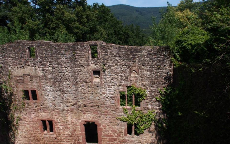 Die Burg Stolzeneck auf der anderen Neckarseite