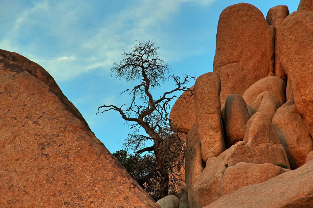 DESERT HOT SPRINGS JOSHUA TREE NATIONALPARK USaround! Ein