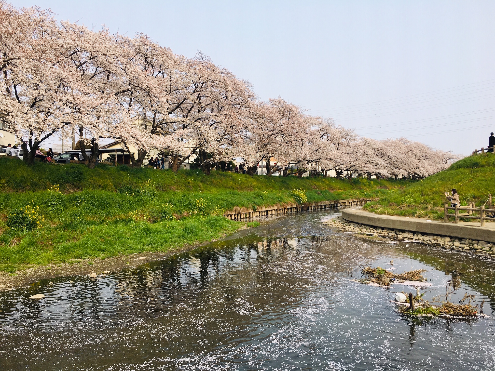 五条川｜愛知県岩倉市の画像 - 名古屋発こどもの遊び場！
