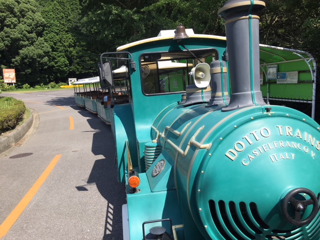 子供とお出かけ 愛知こどもの国 遊具 ピクニック ｂｂｑ 節約情報も 名古屋発こどもの遊び場
