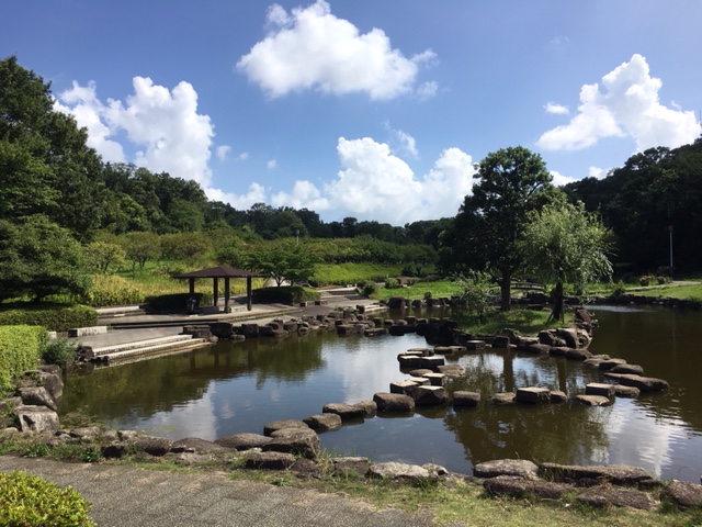 大高緑地＿季節の花・植物