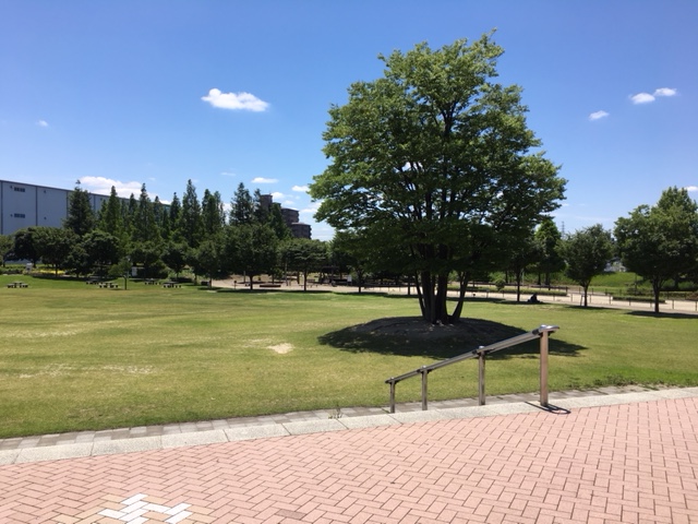 パークアリーナ小牧＿ピクニック・芝生広場