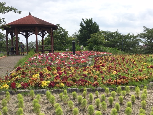 とだがわこどもランド＿戸田川緑地