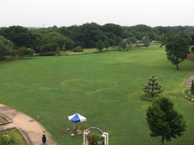 フラワーパーク江南＿ピクニック・芝生広場