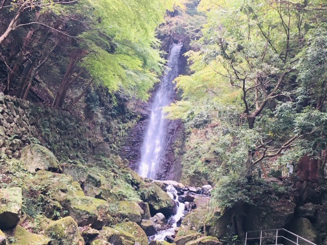 養老の滝