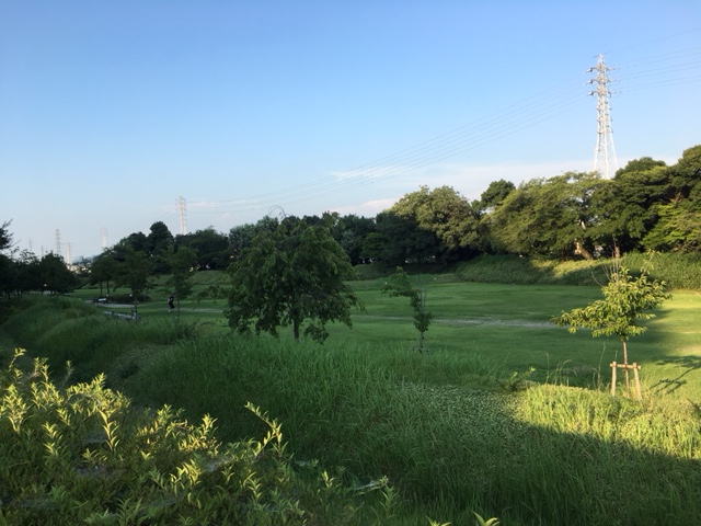 小牧山＿ピクニック・芝生広場