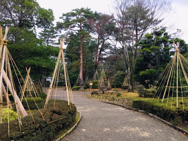 兼六園＿雪吊り