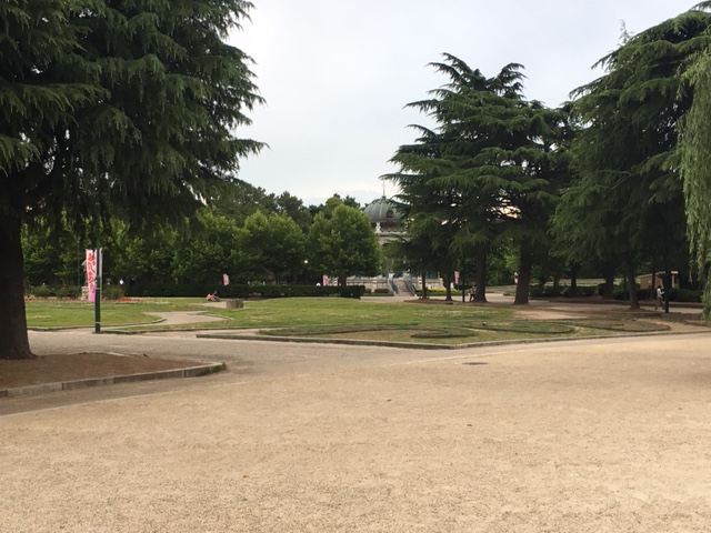 鶴舞公園＿ピクニック・芝生広場