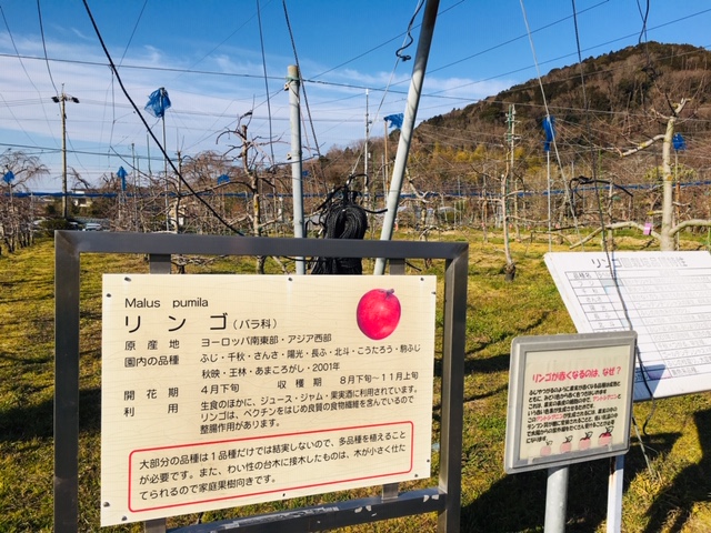 東谷山フルーツパーク＿果樹園