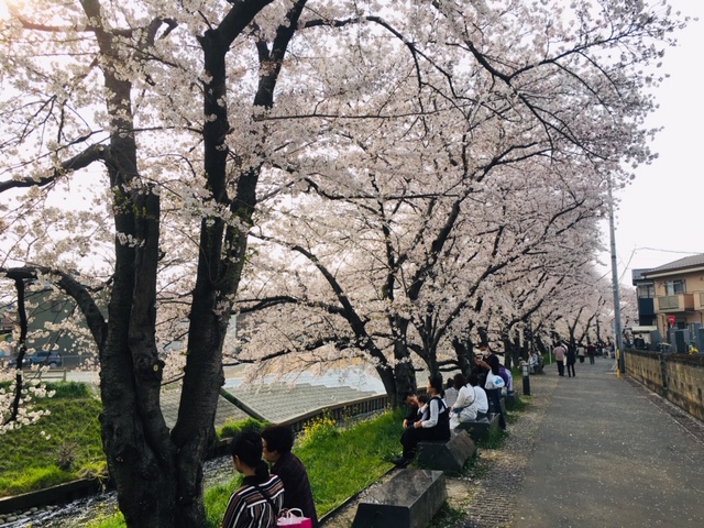 五条川＿ピクニック・芝生広場