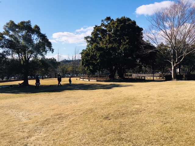 都市緑化植物園＿芝生広場