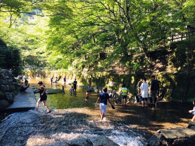 岩屋堂公園（愛知県瀬戸市）の利用料金は？