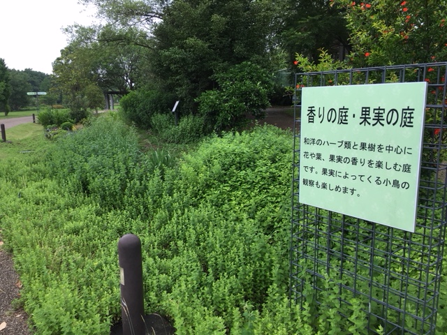 フラワーパーク江南＿季節の花・植物