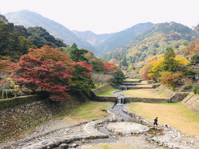 養老公園、養老の滝、紅葉