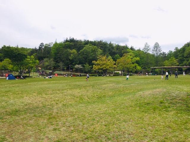 県営各務原公園＿ピクニック・芝生広場