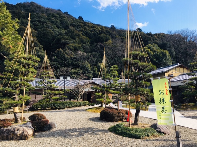 岐阜公園＿季節の花・植物