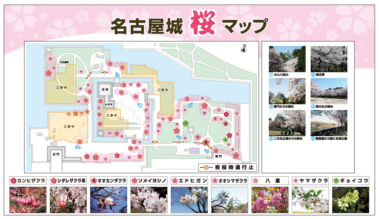名古屋城 で花見 19 桜の見頃や開催イベント 駐車場は 名古屋発こどもの遊び場 名古屋城 で花見 19 桜の見頃や開催イベント 駐車場は 名古屋発こどもの遊び場
