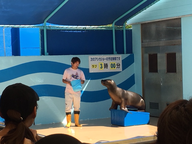 竹島水族館＿アシカショー、カピパラショー