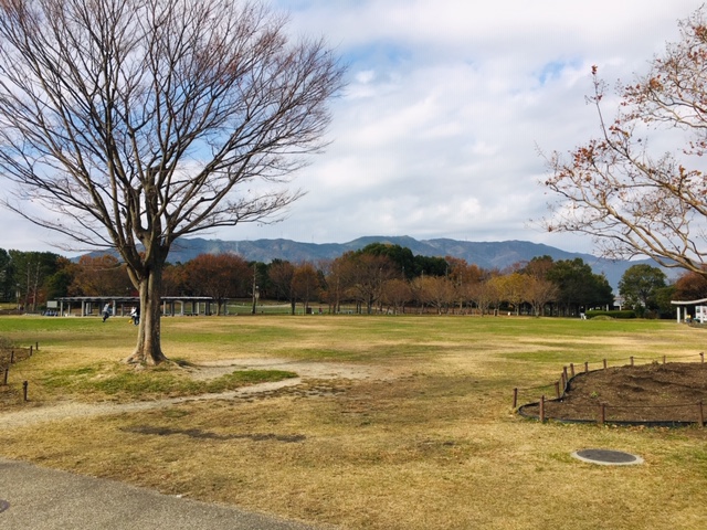 木曽三川公園センター＿ピクニック・芝生広場