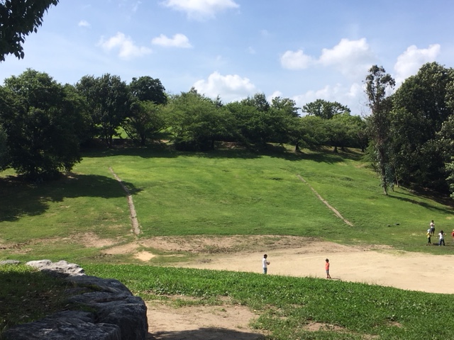 大高緑地＿ピクニック・芝生広場