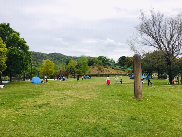 ひばりが丘公園＿ピクニック・芝生広場