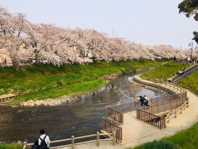 五条川