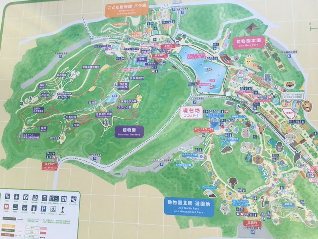 東山動植物園＿おすすめの回り方