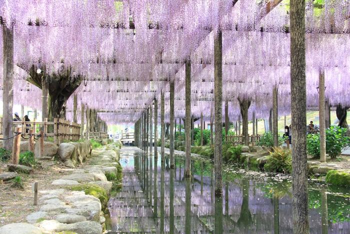 子供とお出かけ 天王川公園 の遊び場 料金 駐車場 割引情報 名古屋発こどもの遊び場 子供とお出かけ 天王川公園 の遊び場 料金 駐車場 割引情報 名古屋発こどもの遊び場