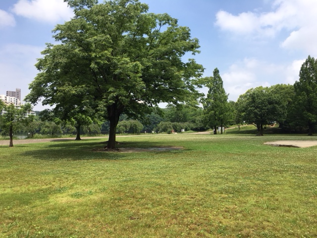 平和公園＿ピクニック・芝生広場