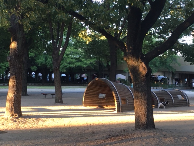 二子山公園＿遊具