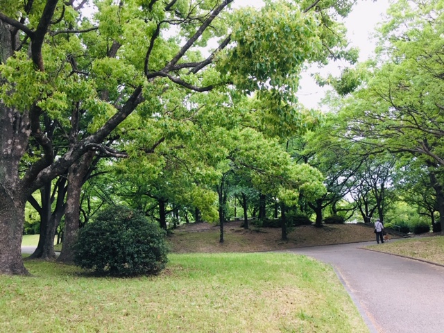 五町公園のピクニック・芝生広場