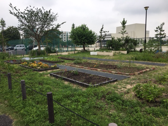 川名公園の季節の花・植物