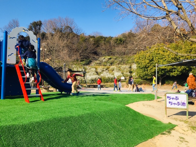 半田運動公園＿プール・水遊び場