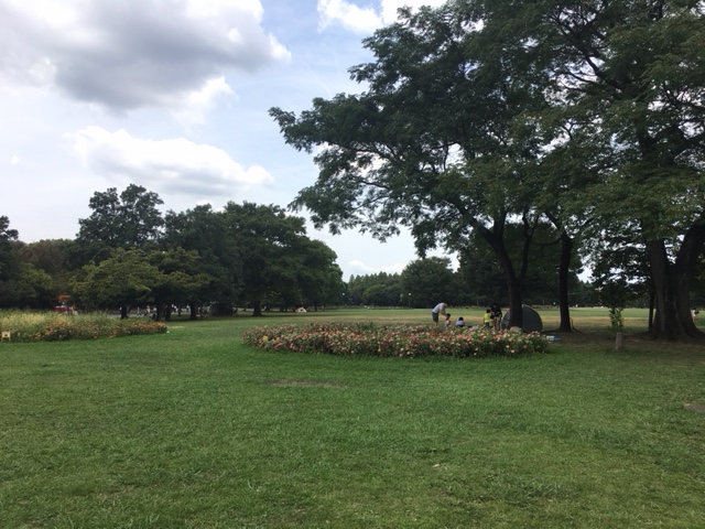 庄内緑地公園＿ピクニック・芝生広場