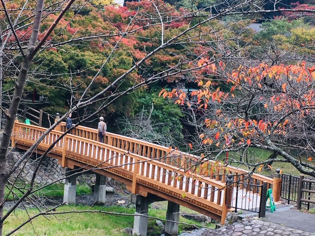 養老公園とは？