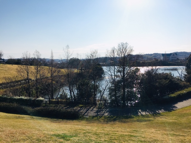 半田運動公園＿季節の花・植物