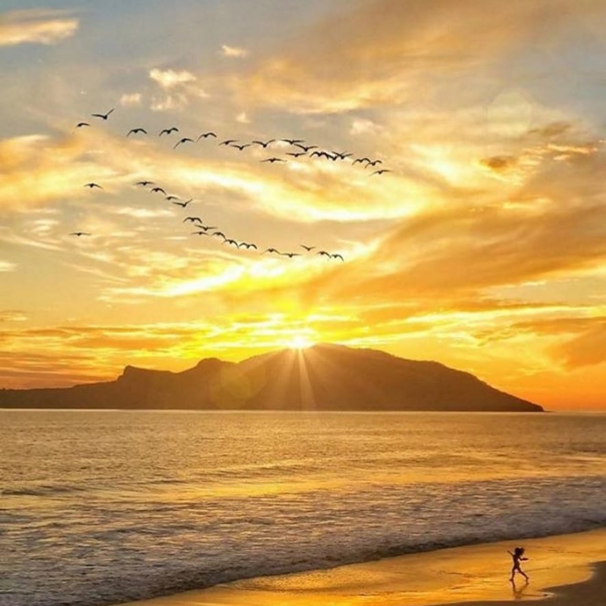Un pedacito de Mazatlán a tu alcance. 
