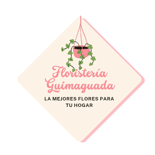 Página web de floristeriaguimaguada