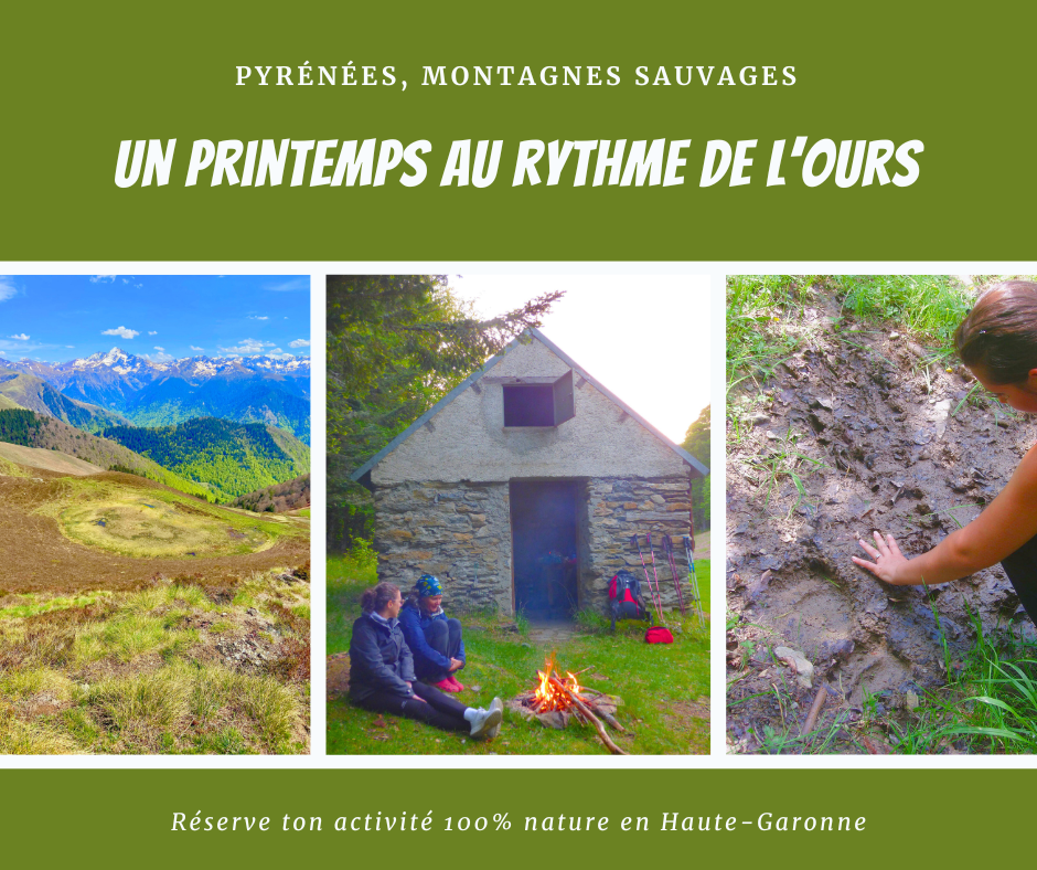 Randonnées en raquettes dans les Pyrénées avec un guide
