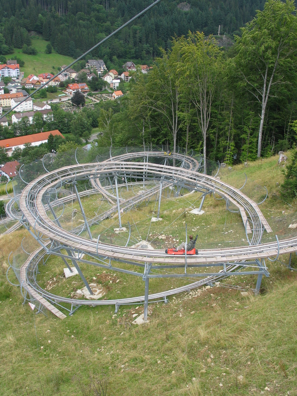 Die Rodelbahn weckt wieder alle Lebensgeister