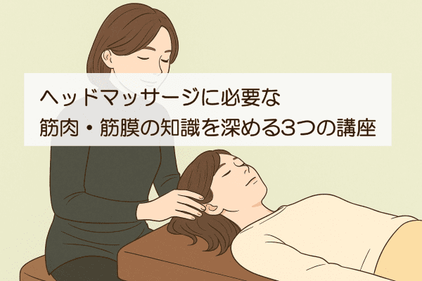 イメージ画像｜ヘッドマッサージに必要な筋肉・筋膜の知識を深める3つの講座
