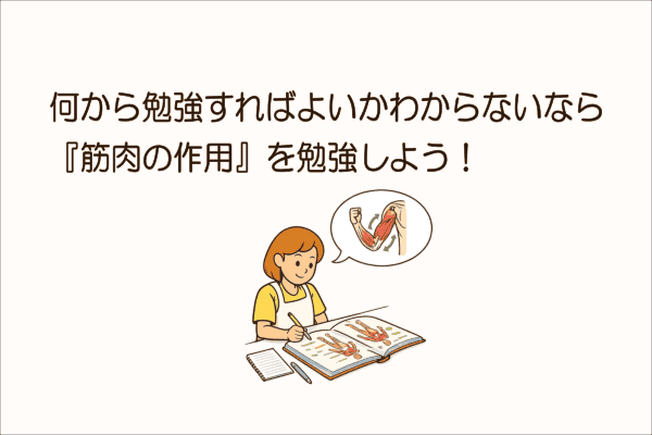 イメージ画像｜何から勉強すればよいかわからないなら『筋肉の作用』を勉強しよう