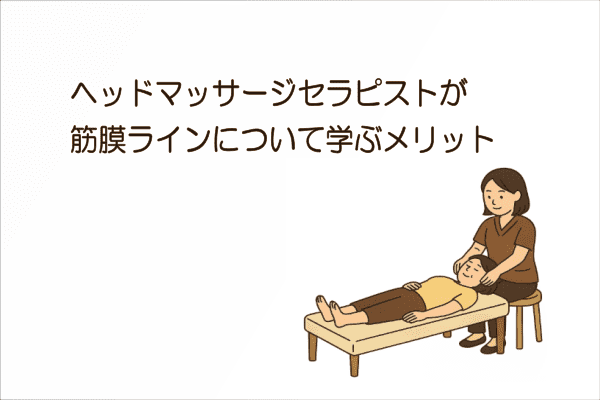 イメージ画像｜ヘッドマッサージセラピストが筋膜ラインについて学ぶメリット