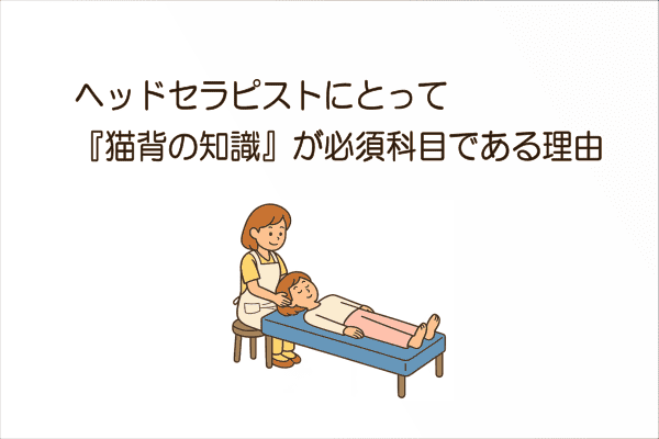 イメージ画像｜ヘッドセラピストにとって『猫背の知識』が必須科目である理由