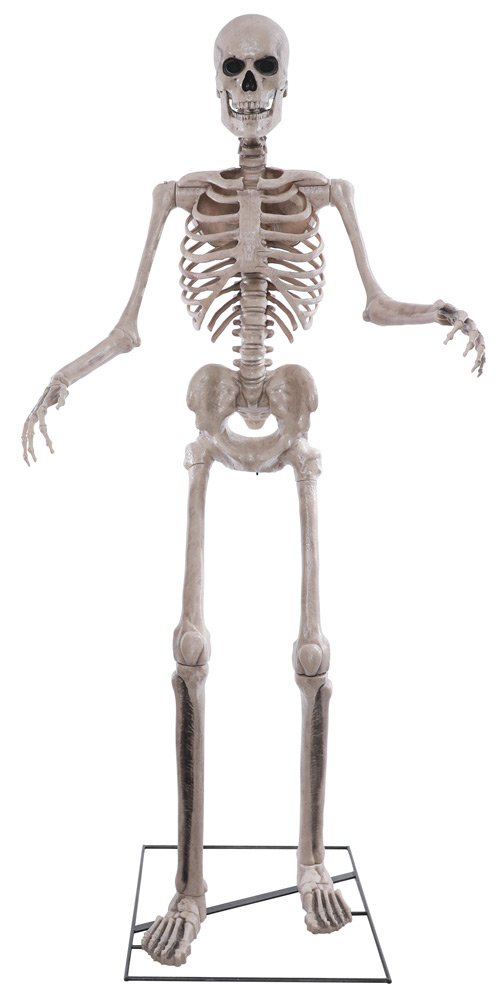 Deko-Figur Skelett, 160 cm - Halloween Figuren & Groß-Deko