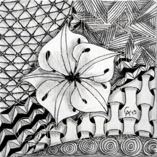 9cm x 9cm
