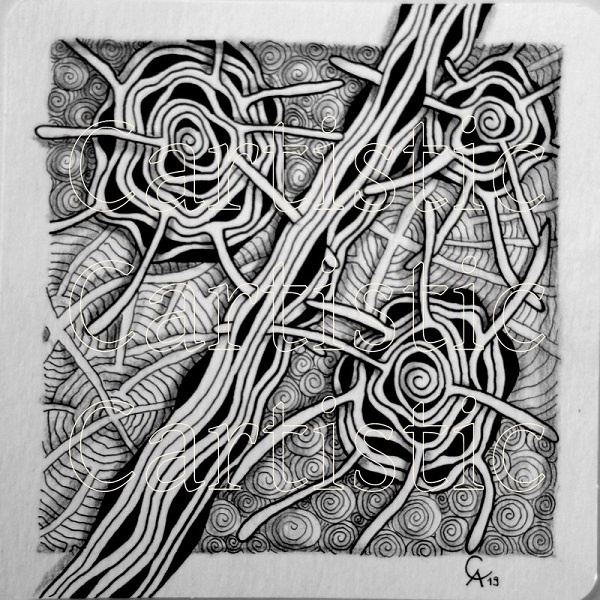 12cm x 12 cm