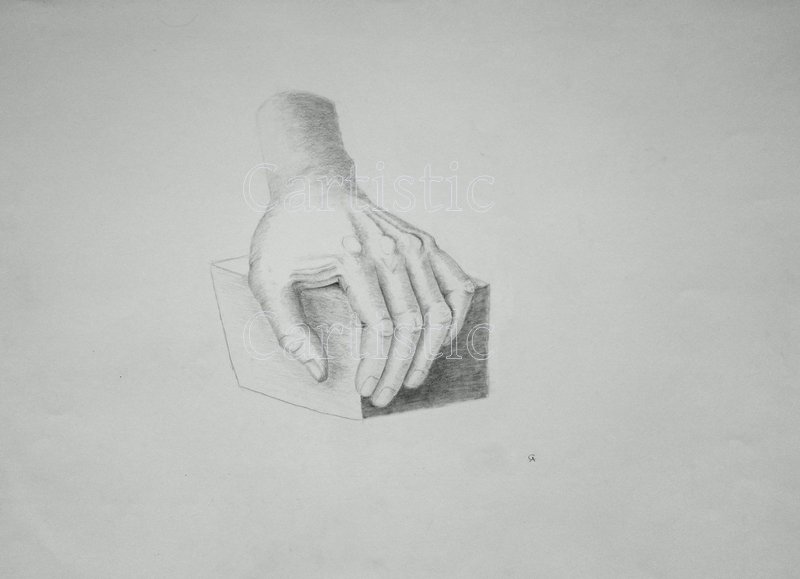 Hand - Bleistift, 42cm x 60cm