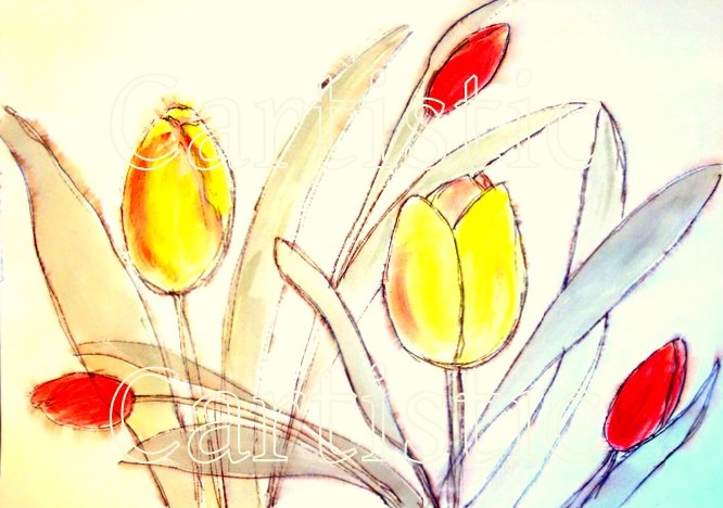 Tulpen - Feinleiner, Aquarell, Acryl, 24cm x 34cm